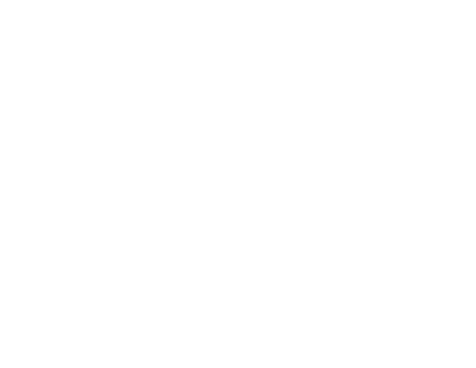 Black Cat Solutions Logo